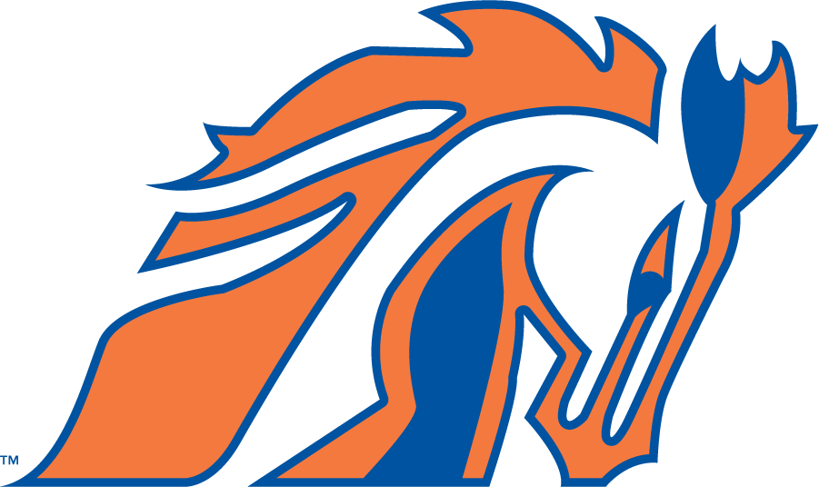 Boise State Broncos 1981-1983 Secondary Logo diy iron on heat transfer
